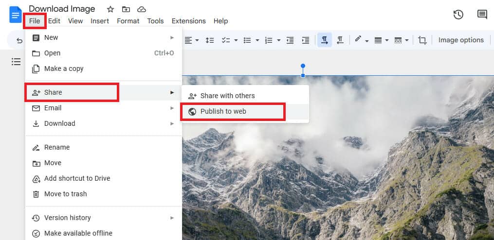 How to download image from google docs using publish to web