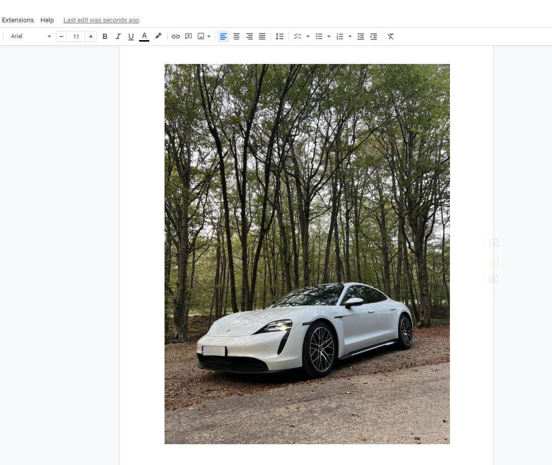 Inserted image in Google Docs