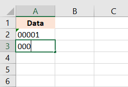 Excel showing leading zeros.