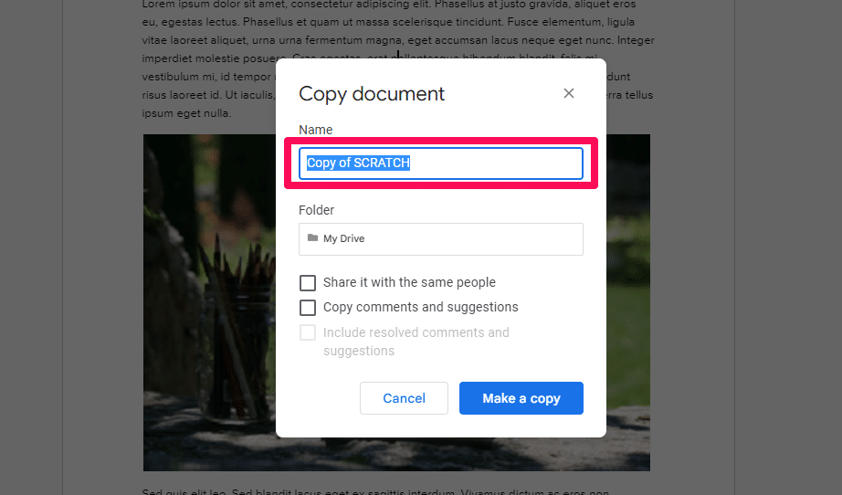 Text field for the name of the Google Docs copy