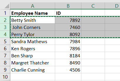 Dotted selection line to show the selection has been copied