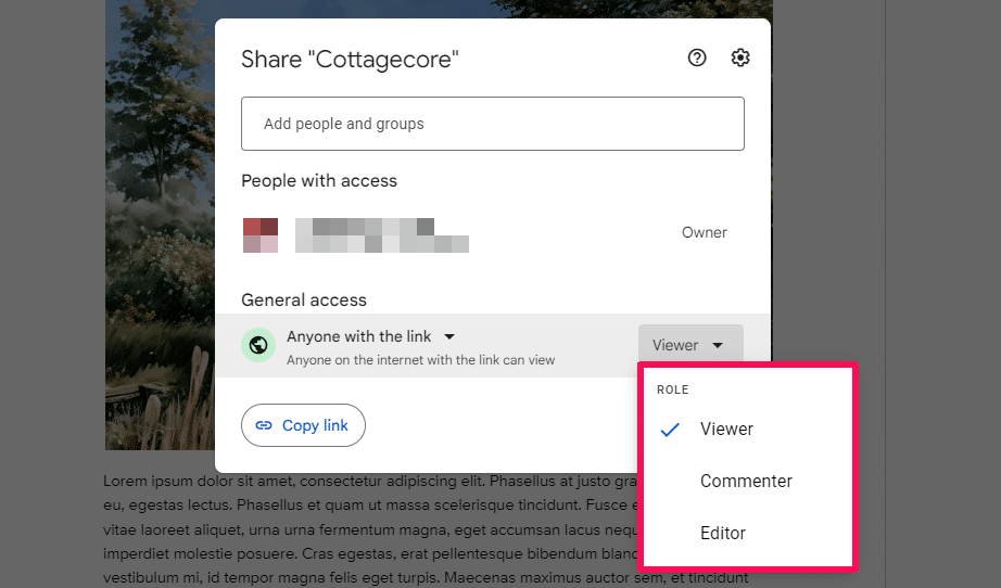 Different Access options in Google Docs share settings