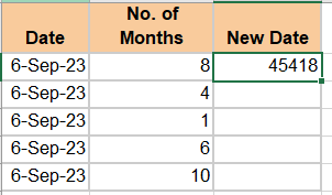 Results of the EDATE formula in general format