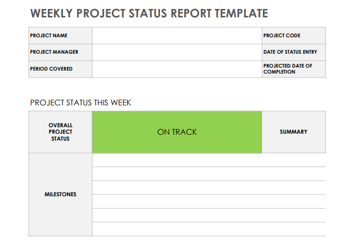 Preview of a weekly project status report template