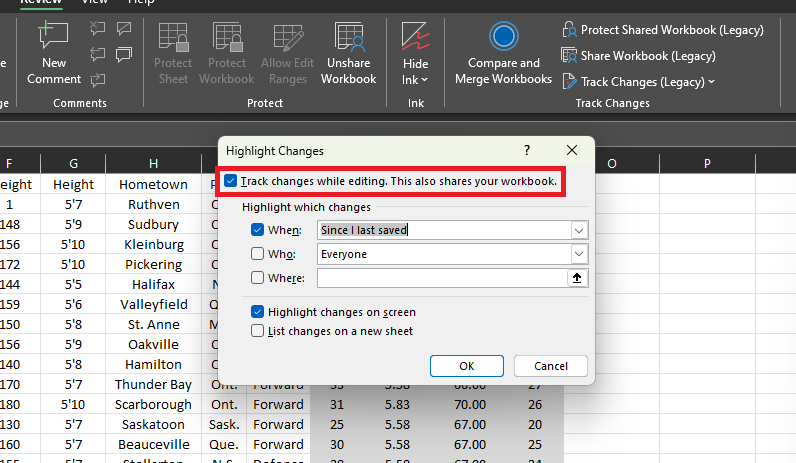 Track changes in excel while editing