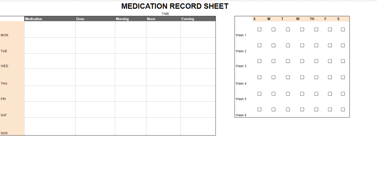 Medication log spreadsheet 3