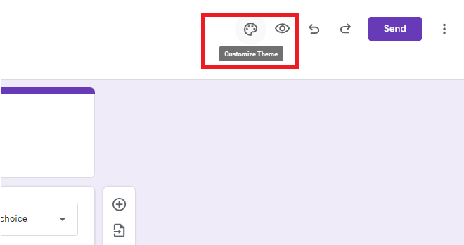 The Customize Theme button at the top right of the form.