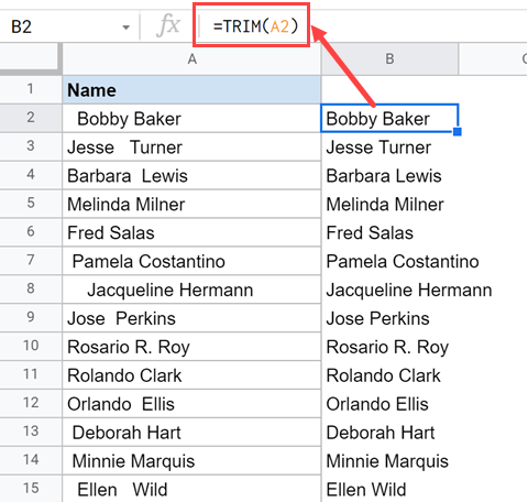 TRIM formula to removes space characters