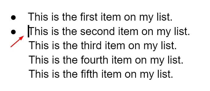 A list of five items with only the first two having bullet points.