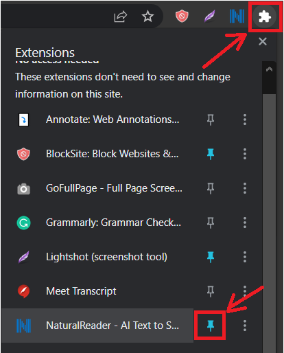  Go to the extensions icon on Chrome and pin the Natural reader extension.