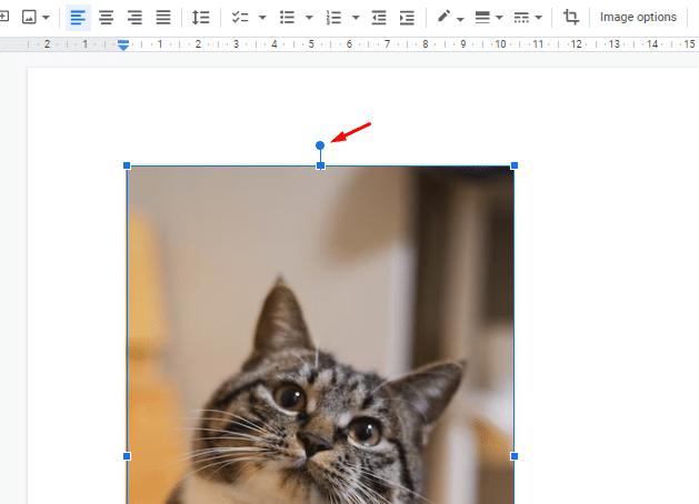 Blue circle to rotate images in Google Docs